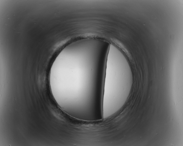 X0000085280588200703090938