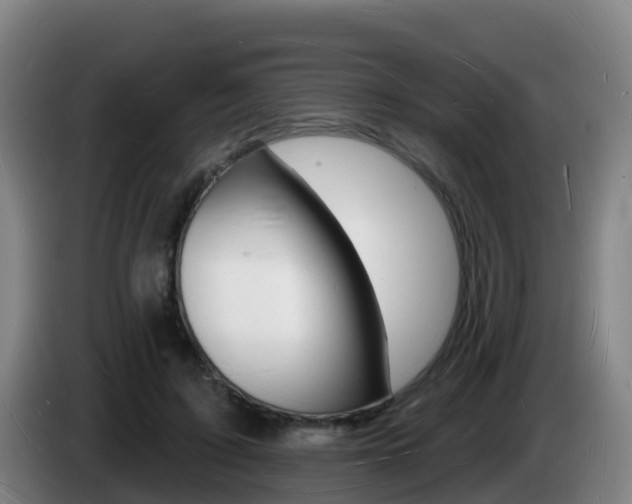 X0000085280595200703090938