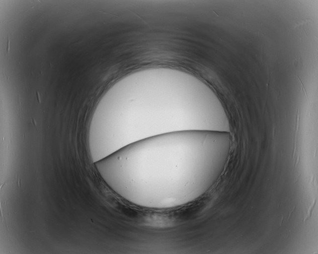 X0000085280598200703090938