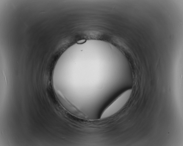 X0000085280599200703090938