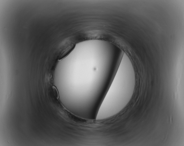 X0000085280601200703090938