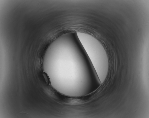 X0000085280605200703090938
