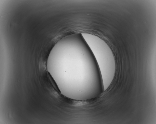 X0000085280621200703090937