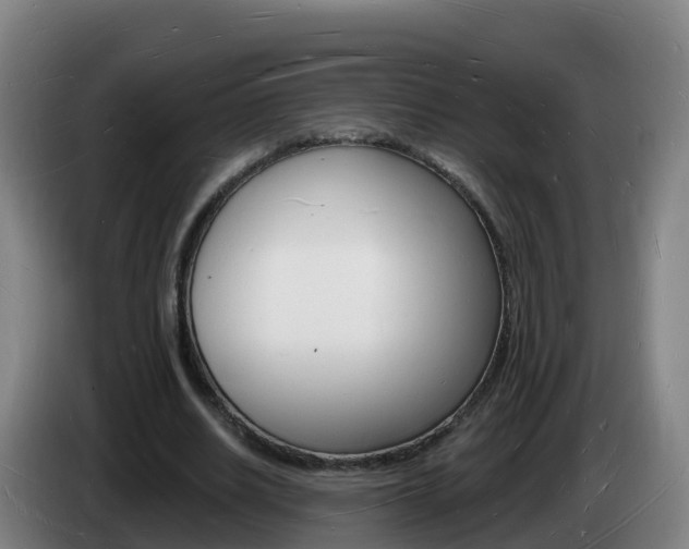 X0000085280630200703090937