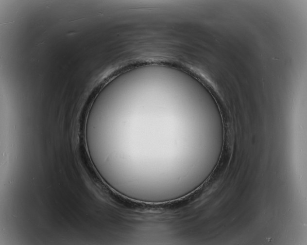 X0000085280631200703090937