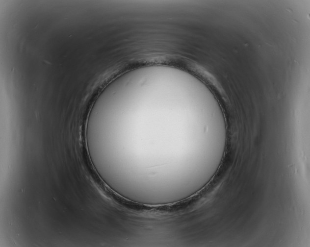 X0000085280633200703090937