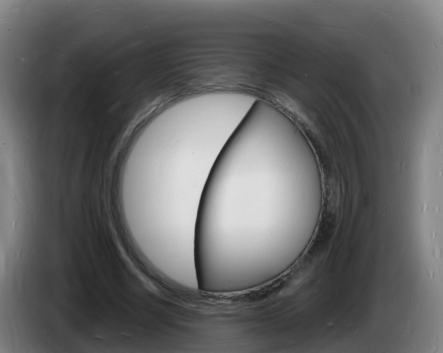 X0000085280634200703090937