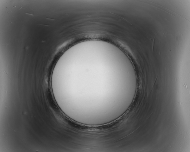 X0000085280636200703090937