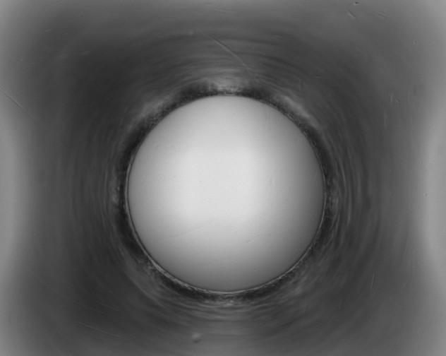 X0000085280639200703090937