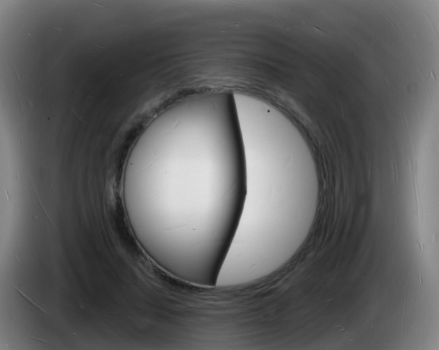 X0000085280644200703090937