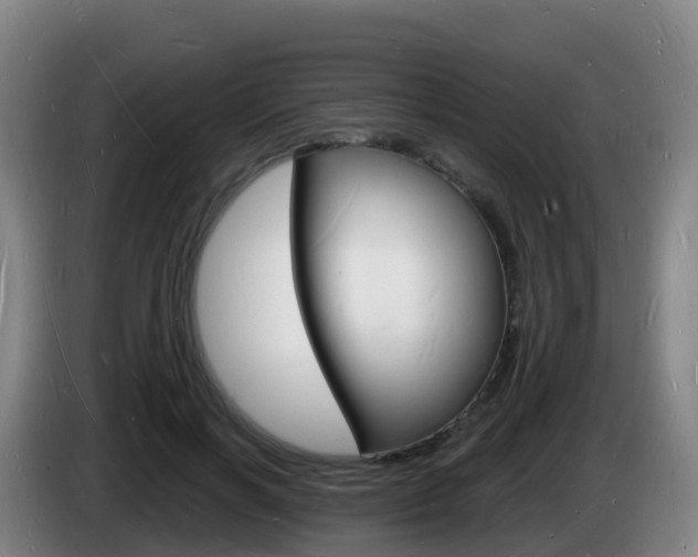 X0000085280646200703090937
