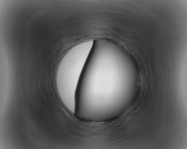 X0000085280664200703090937