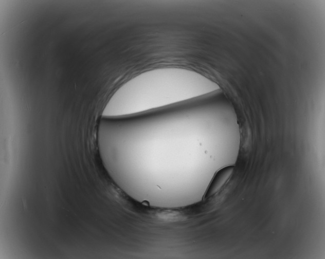 X0000085280669200703090937