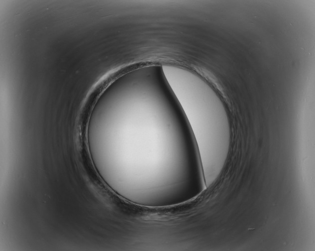 X0000085280680200703090937