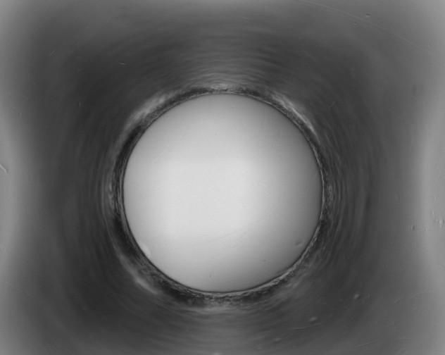 X0000085280682200703090937