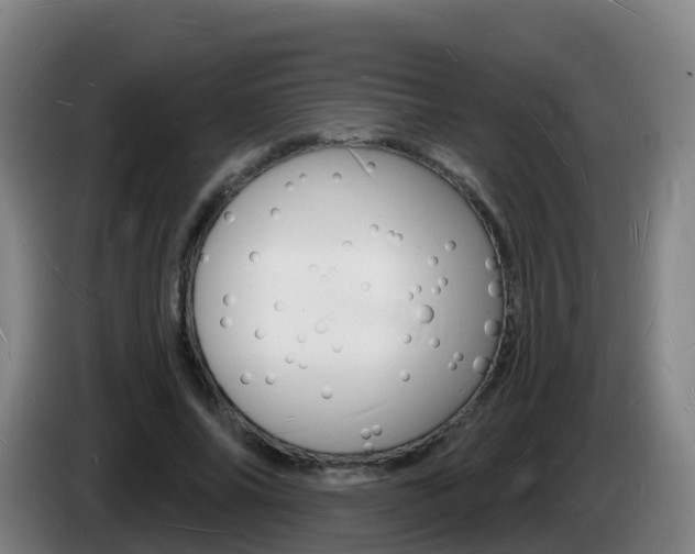 X0000085280686200703090937
