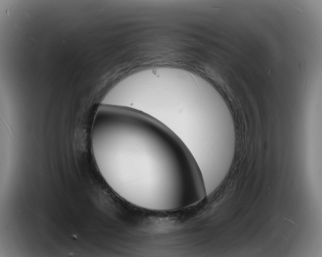 X0000085280689200703090936