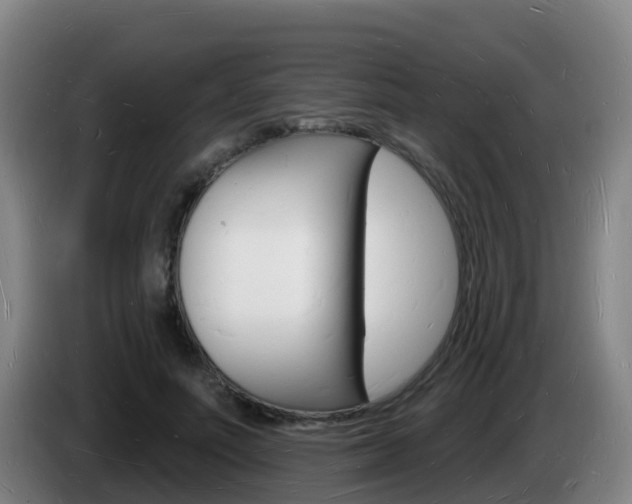 X0000085280691200703090936
