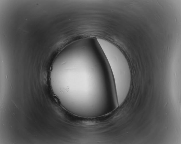 X0000085280693200703090936