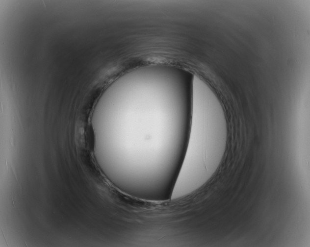 X0000085280696200703090936