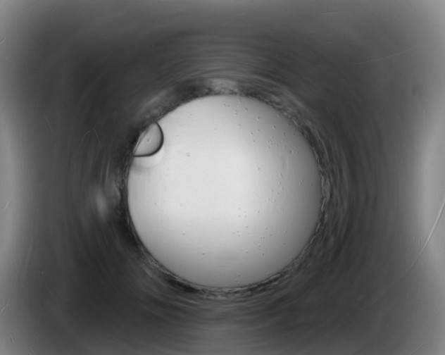 X0000085280702200703090936