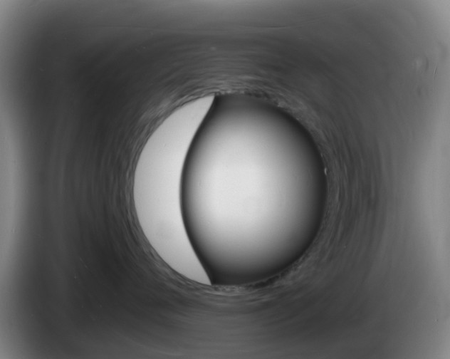 X0000085280720200703090936