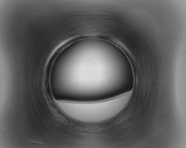 X0000085280724200703090935