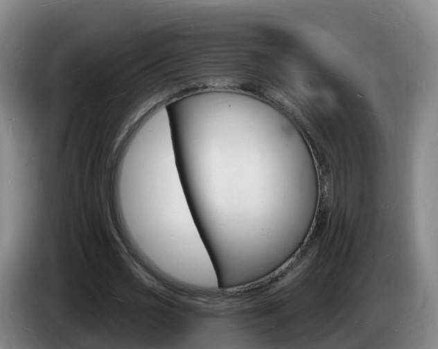 X0000085280725200703090935