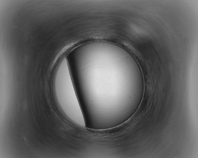 X0000085280727200703090936