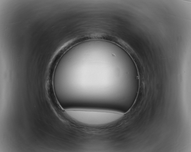 X0000085280728200703090936