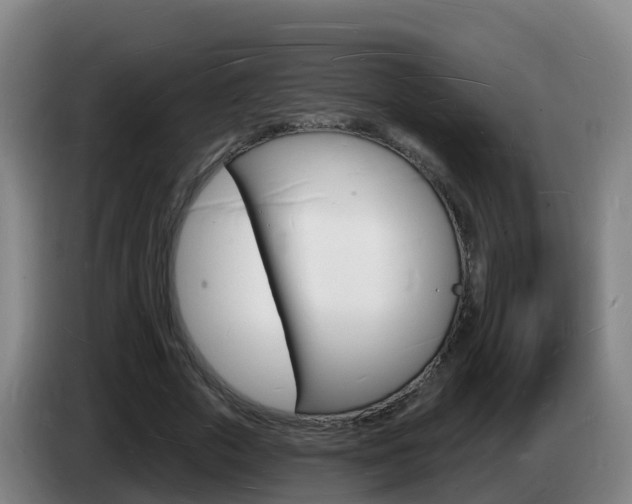 X0000085280729200703090936