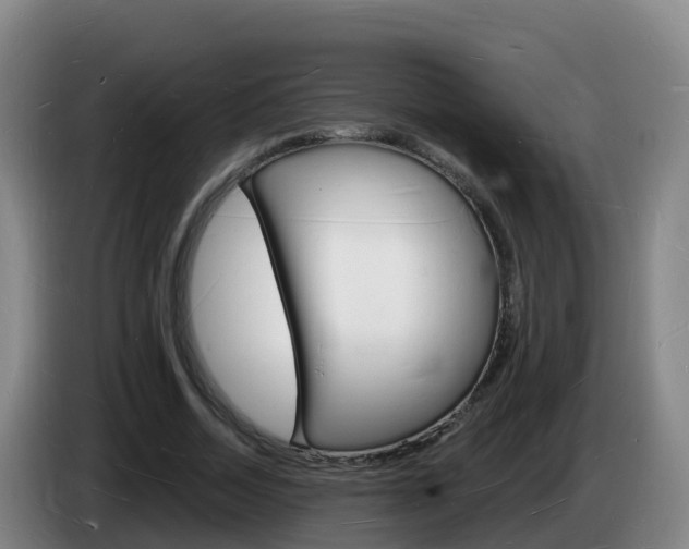 X0000085280730200703090936