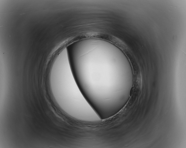 X0000085280732200703090936