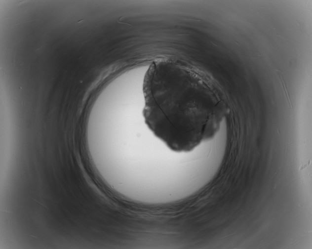 X0000085280734200703090936