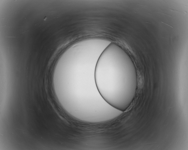 X0000085280736200703090936