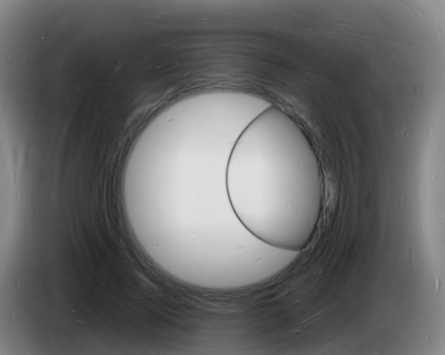X0000085280740200703090936