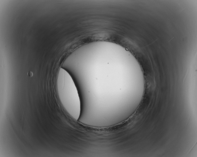 X0000085280745200703090936