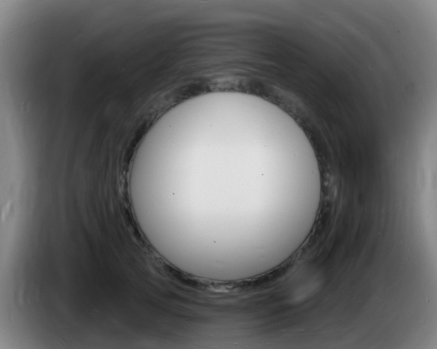 X0000085280753200703090936