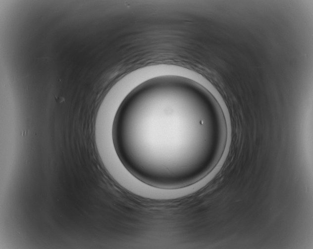 X0000085280762200703090936
