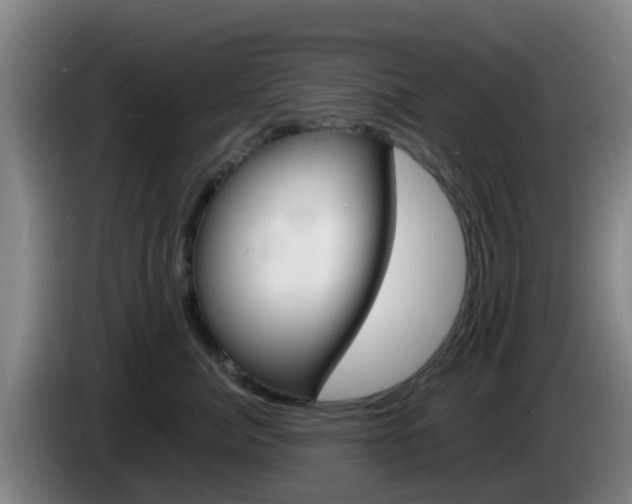 X0000085280764200703090936