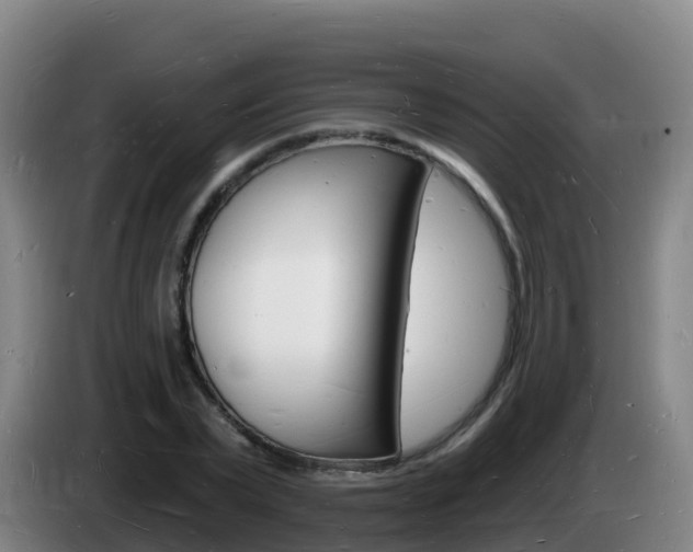 X0000085280783200703090935