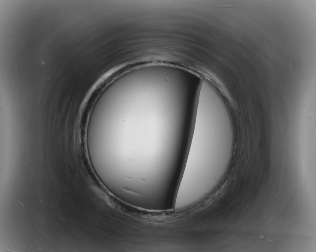 X0000085280784200703090935