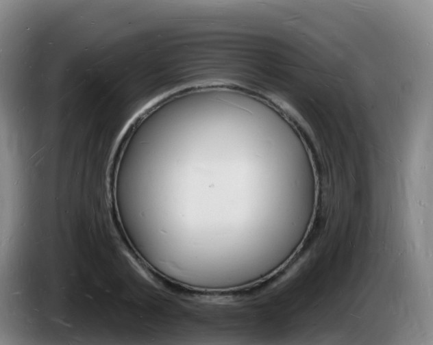 X0000085280789200703090935