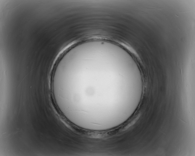 X0000085280790200703090935