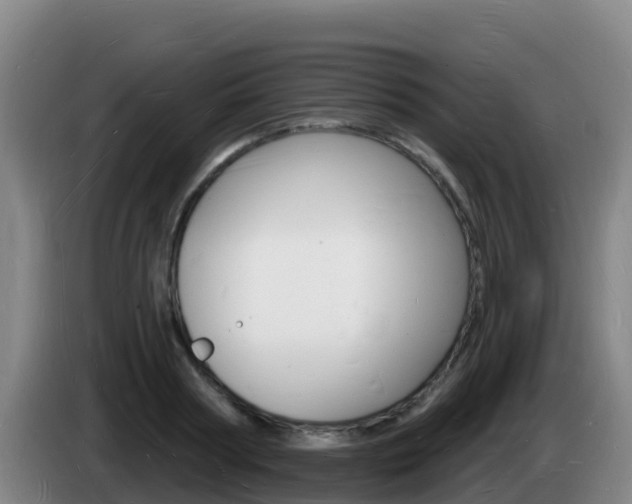X0000085280794200703090935