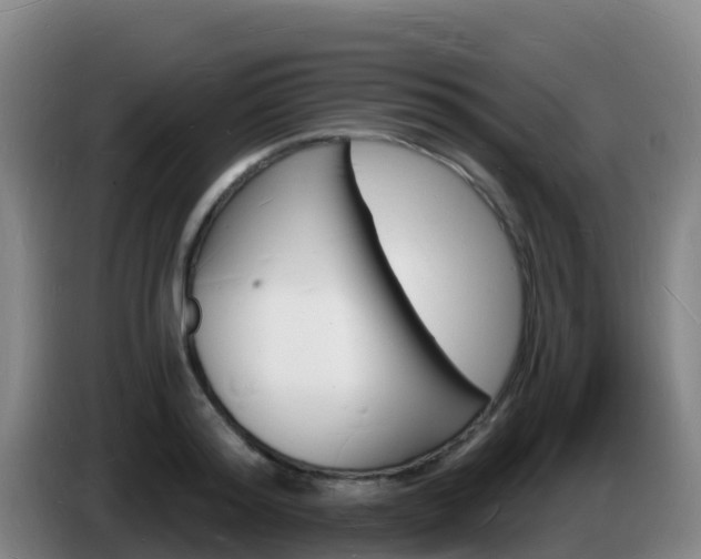 X0000085280796200703090935
