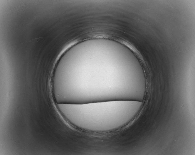 X0000085280806200703090935