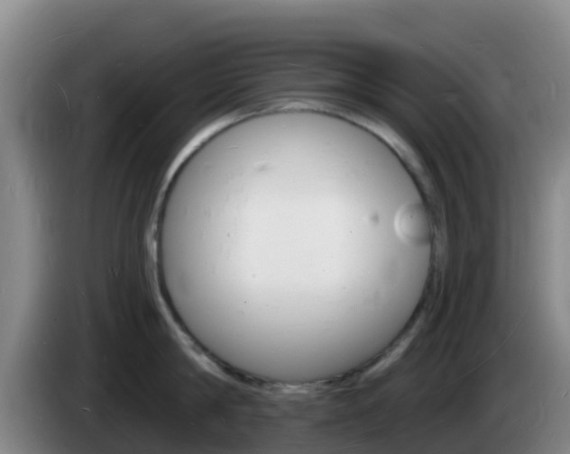 X0000085280814200703090935