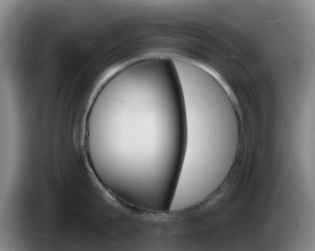 X0000085280815200703090935