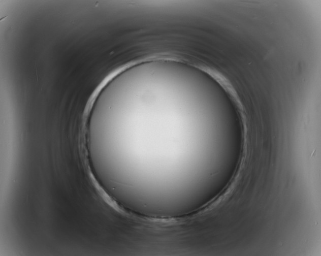 X0000085280816200703090935